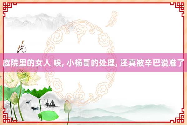 庭院里的女人 唉， 小杨哥的处理， 还真被辛巴说准了