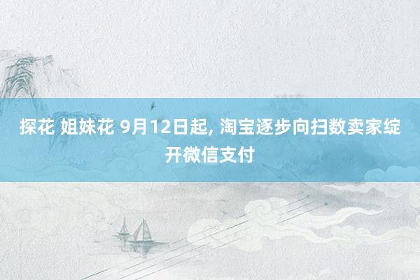 探花 姐妹花 9月12日起， 淘宝逐步向扫数卖家绽开微信支付
