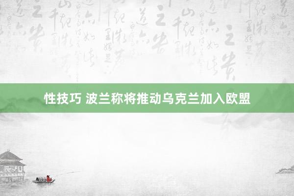 性技巧 波兰称将推动乌克兰加入欧盟